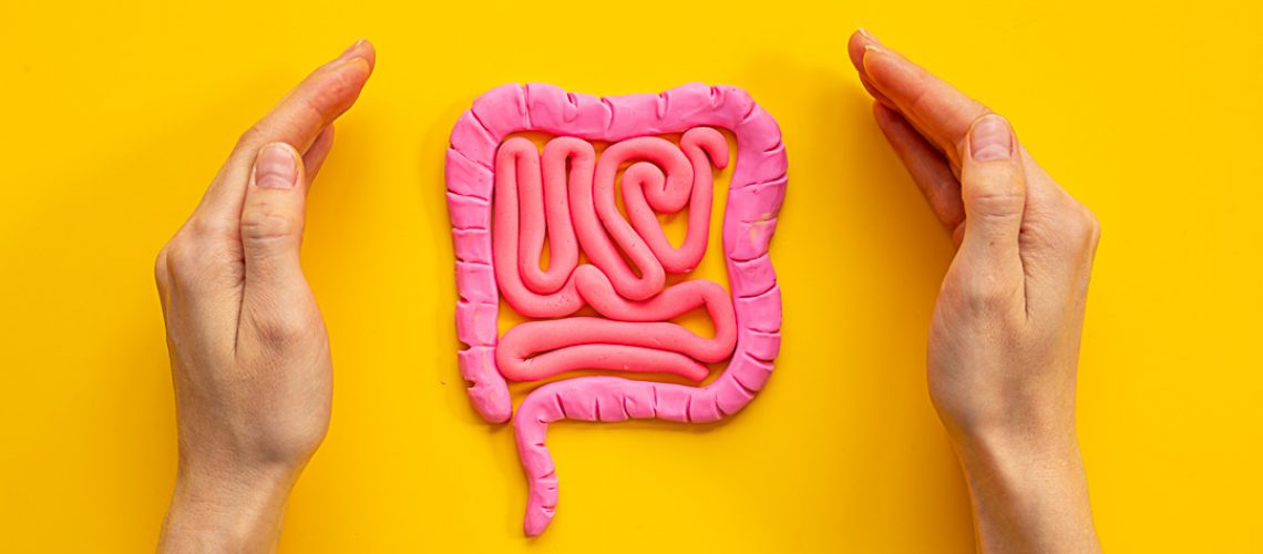 Human intestines colon organ shape with hands. Digestive tract problems colitis or colon cancer.